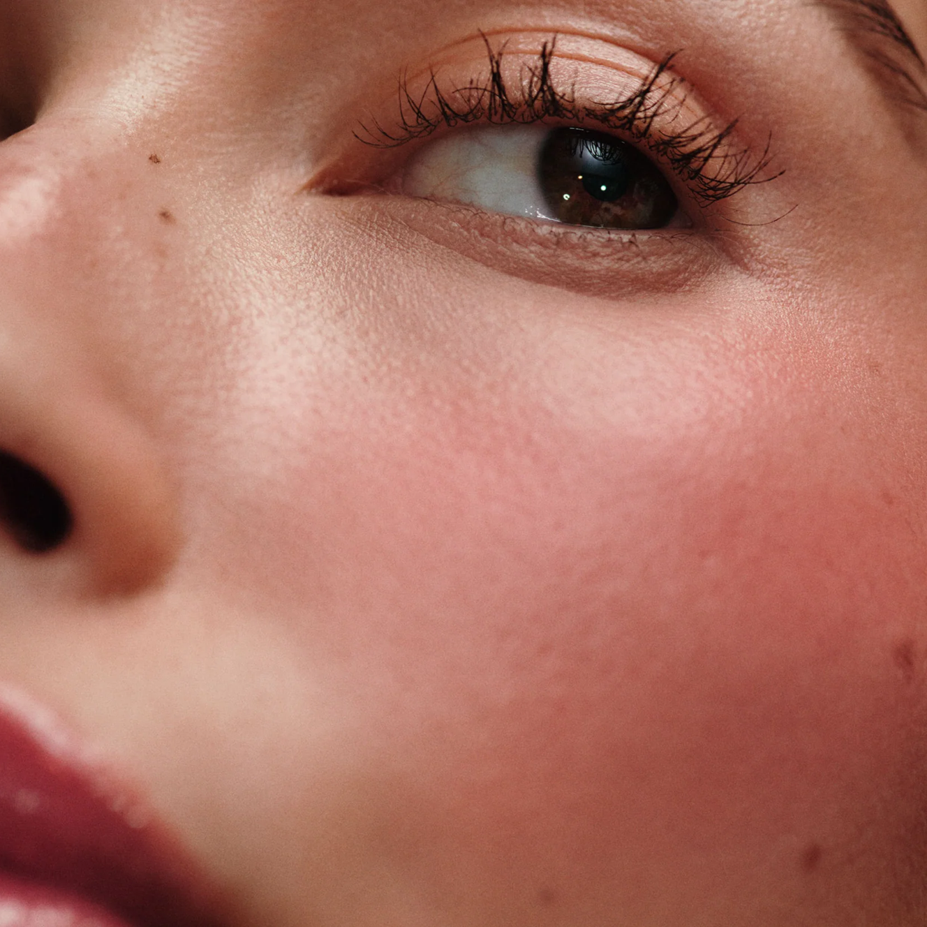 RHODE POCKET BLUSH - FRECKLE