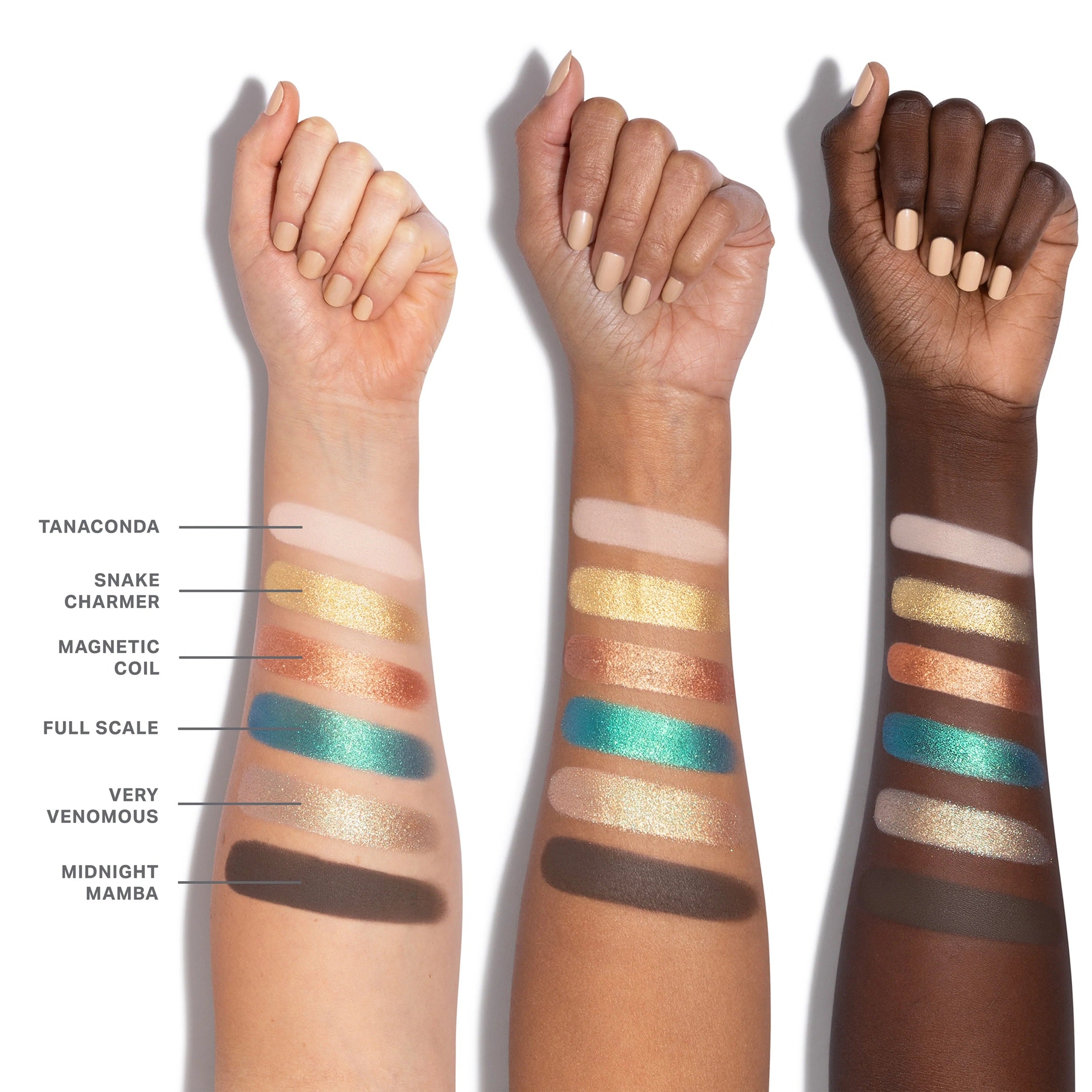 MORPHE PALETA PYTHON CODE