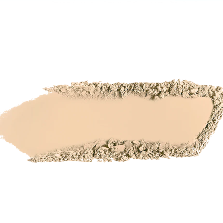 MYBELLINE FIT ME POLVO MATTE + PORELESS SPF 44 220