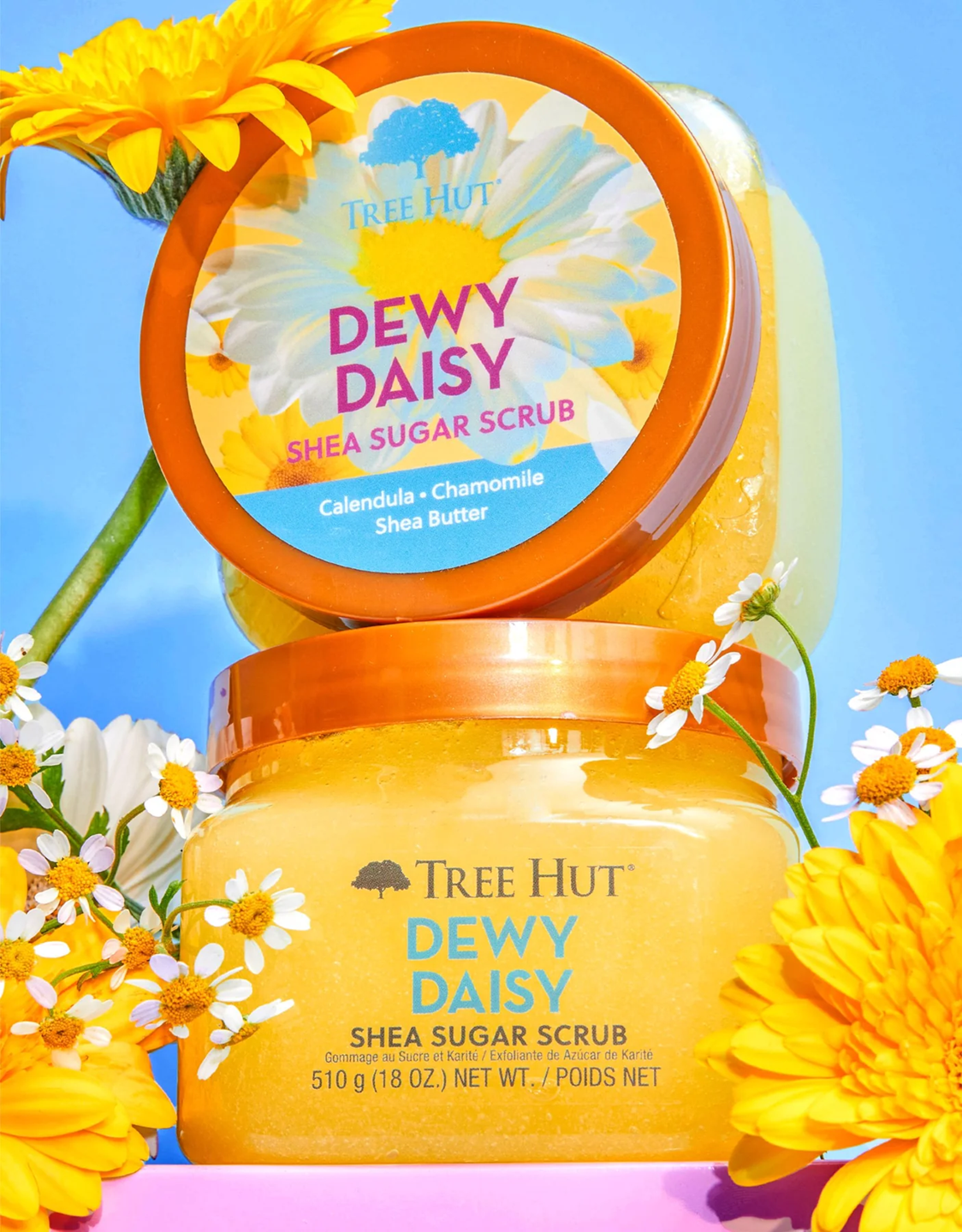 TREE HUT SCRUB DEWY DAISY