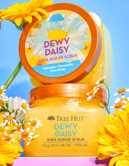 TREE HUT SCRUB DEWY DAISY