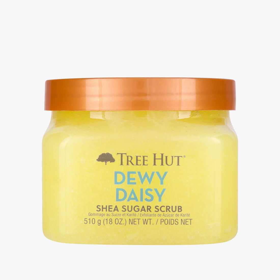TREE HUT SCRUB DEWY DAISY