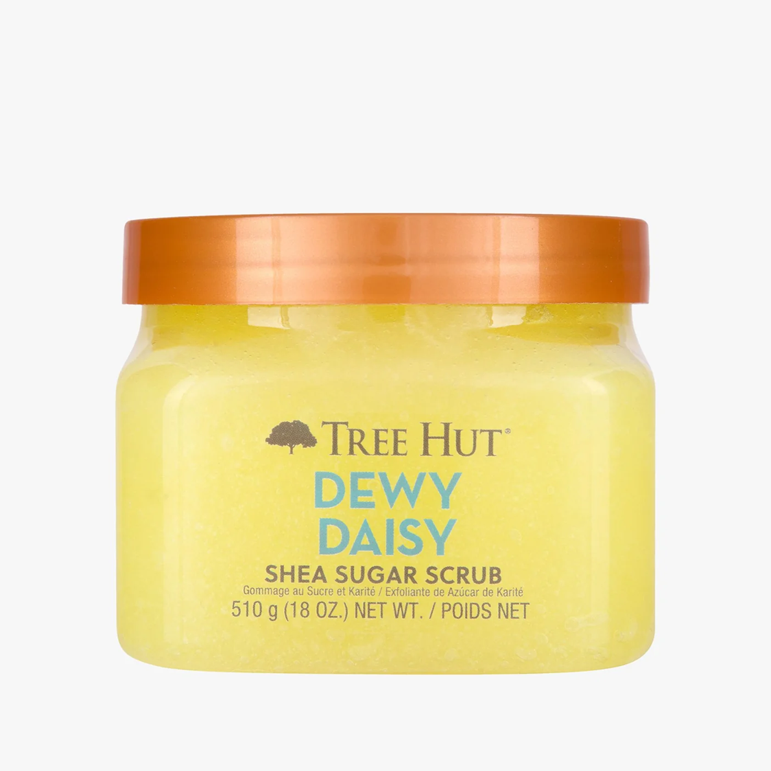 TREE HUT SCRUB DEWY DAISY