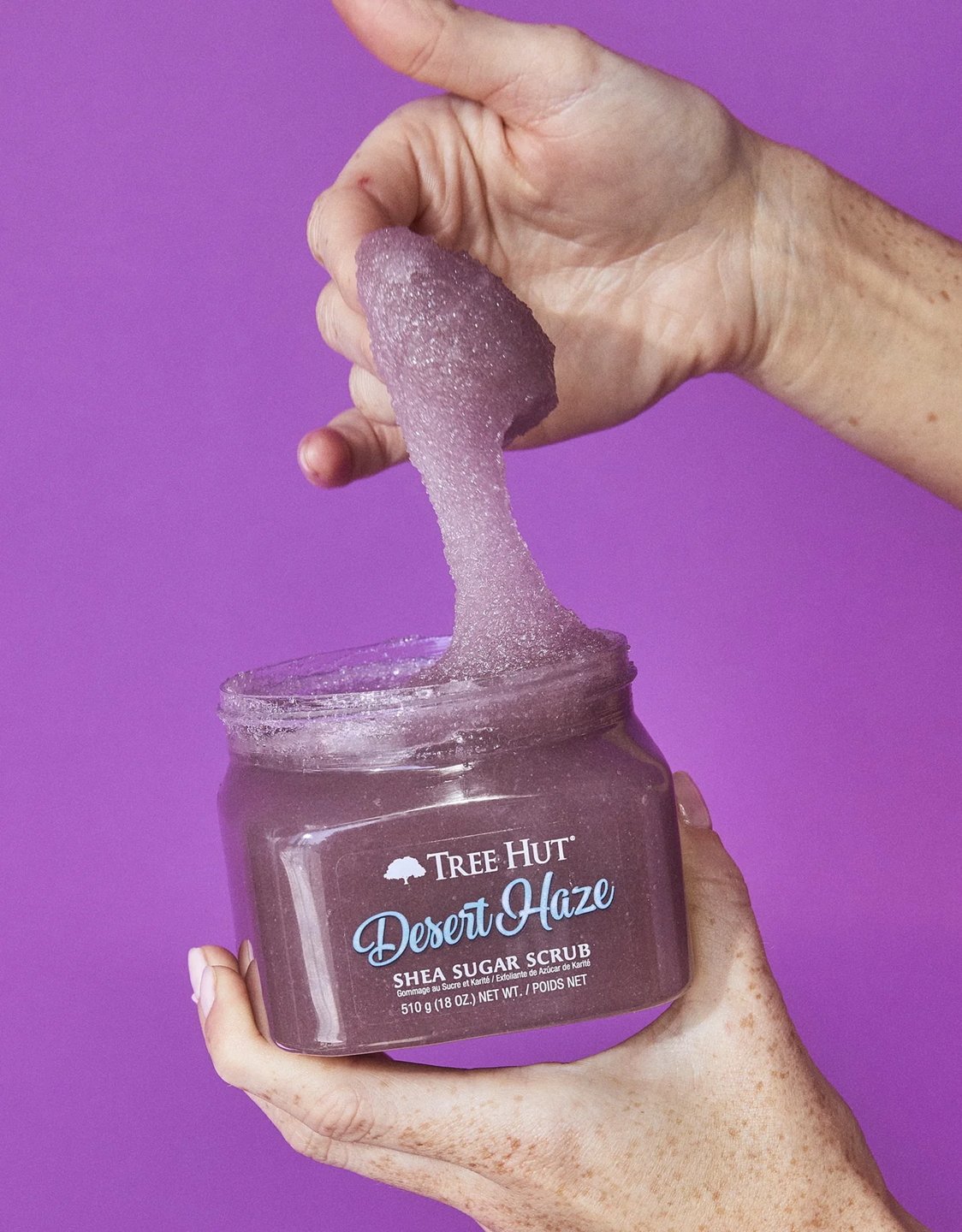 TREE HUT SCRUB DESERT HAZE