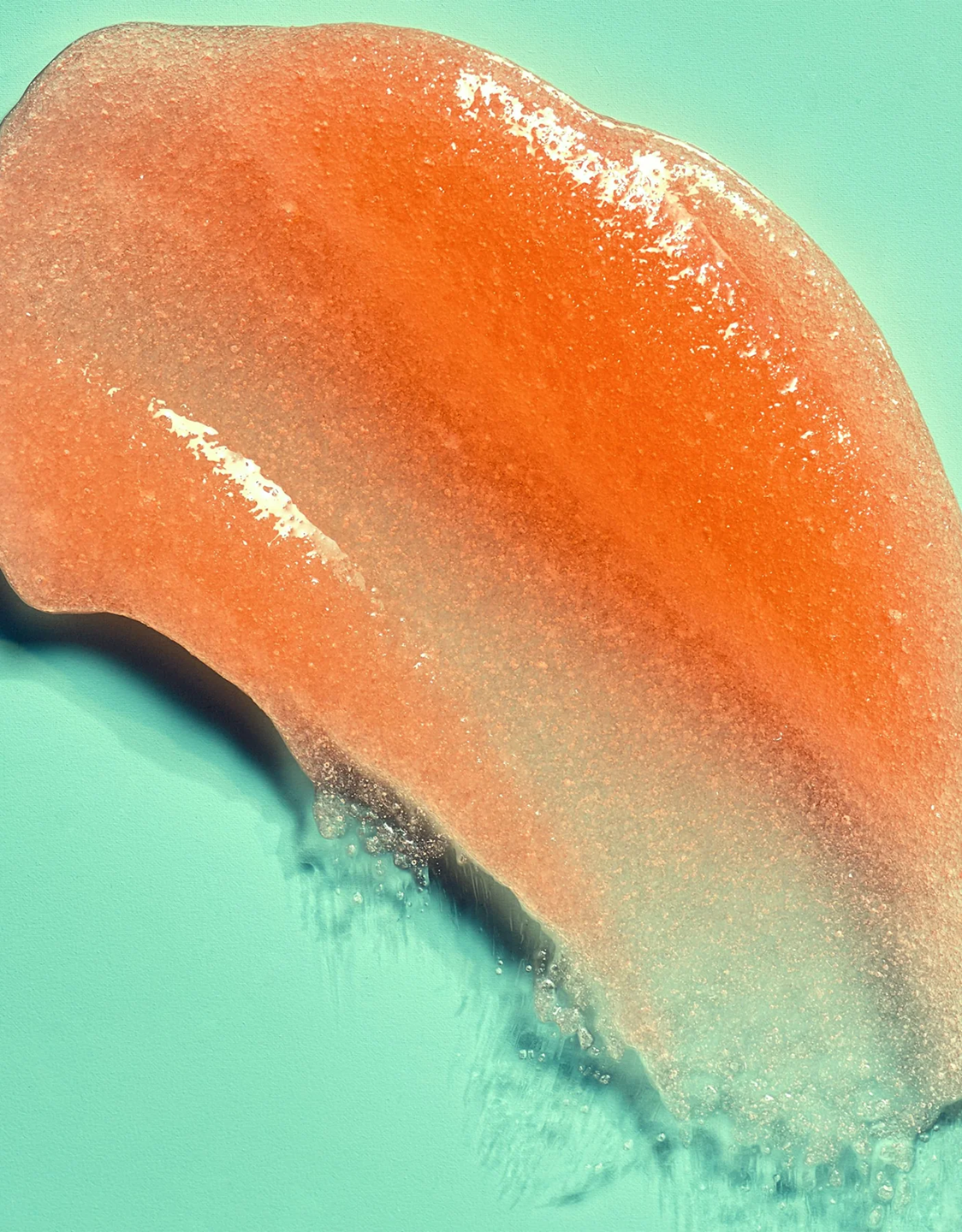 TREE HUT SCRUB BIKINI REEF