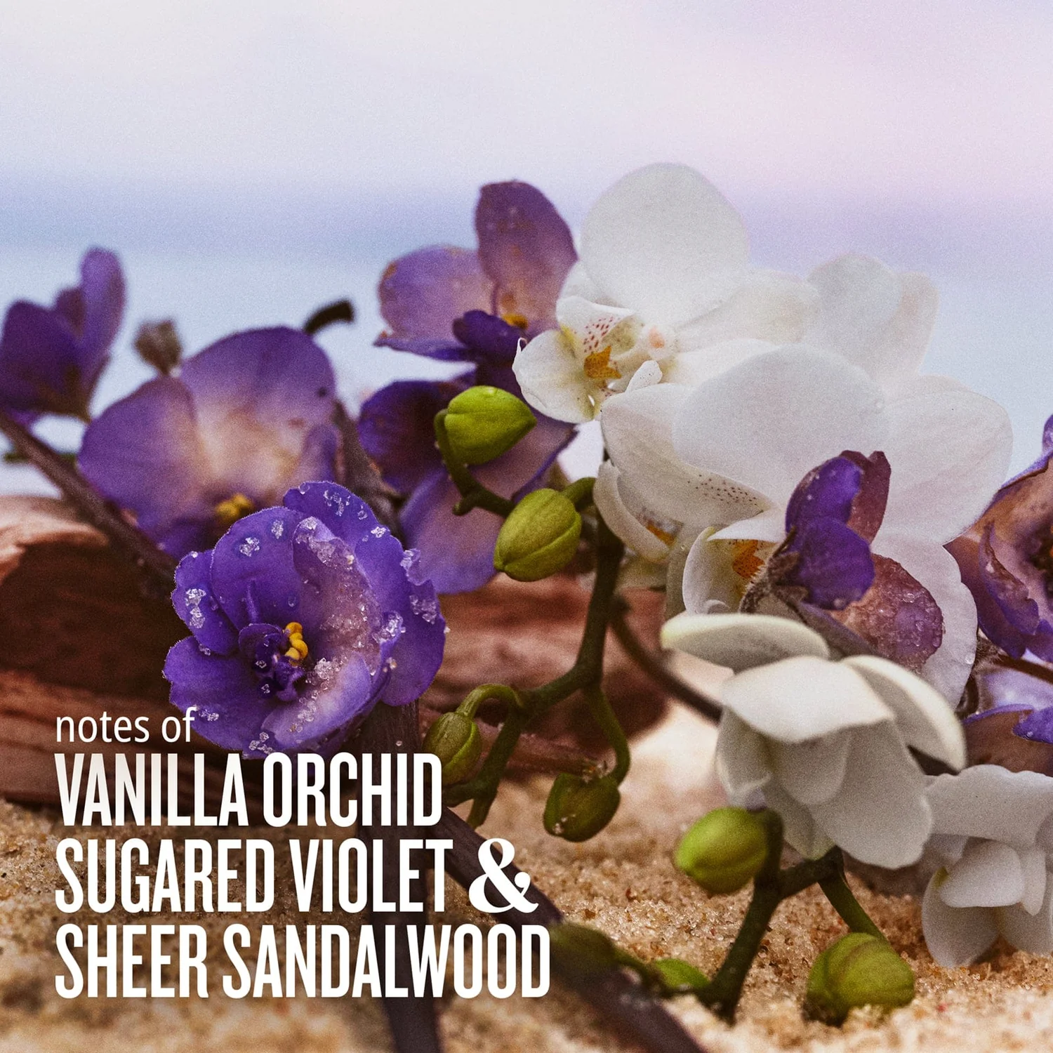 Sol de Janeiro Cheirosa 59 90ml